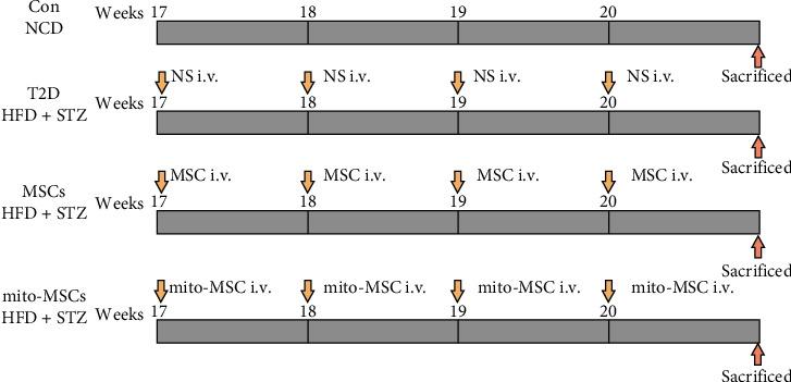 https://cdn.ncbi.nlm.nih.gov/pmc/blobs/1071/12401616/1af828c2a47c/SCI2025-4639115.001.jpg