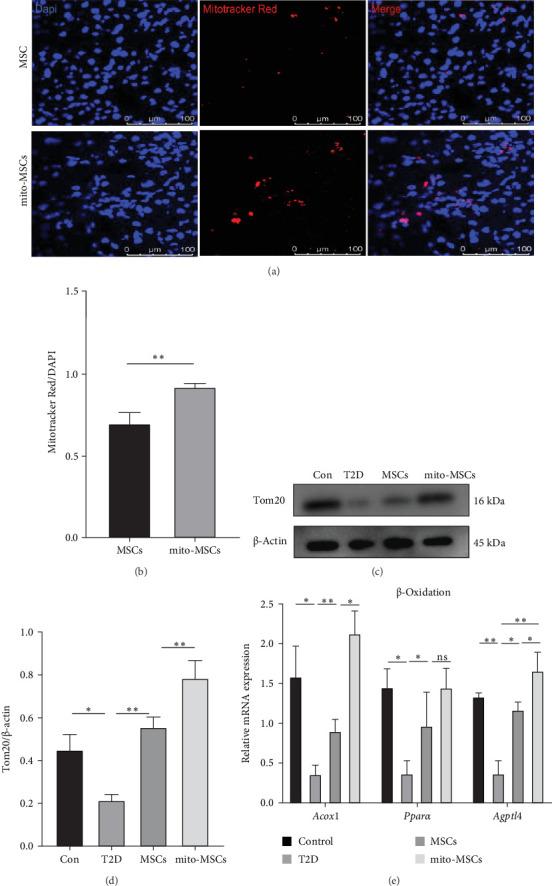 https://cdn.ncbi.nlm.nih.gov/pmc/blobs/1071/12401616/b126c6175fe4/SCI2025-4639115.006.jpg
