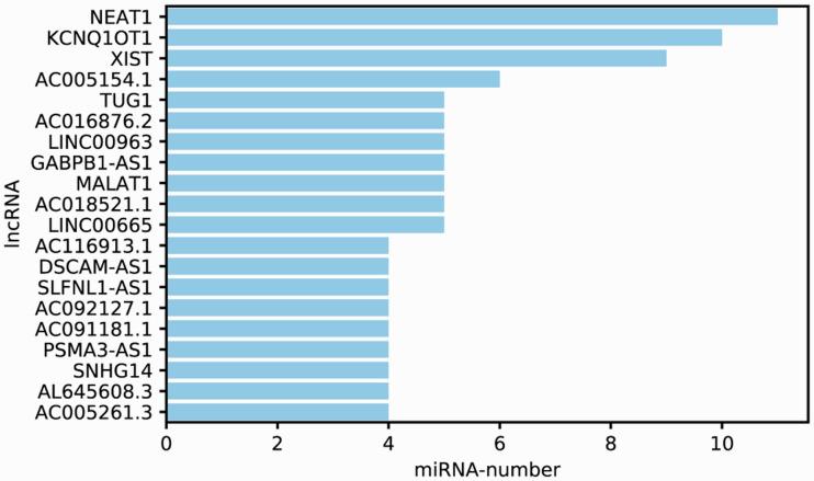 https://cdn.ncbi.nlm.nih.gov/pmc/blobs/1071/7975578/162c36672779/10.1177_0300060521999950-fig3.jpg
