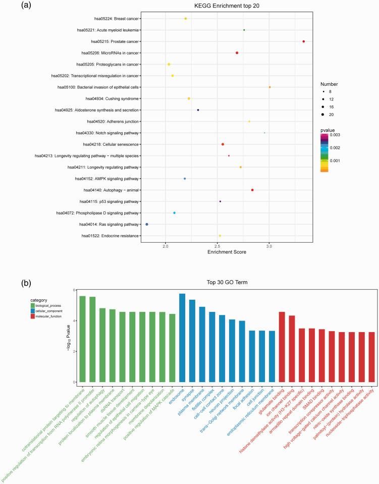 https://cdn.ncbi.nlm.nih.gov/pmc/blobs/1071/7975578/f1d8c3776e7b/10.1177_0300060521999950-fig5.jpg