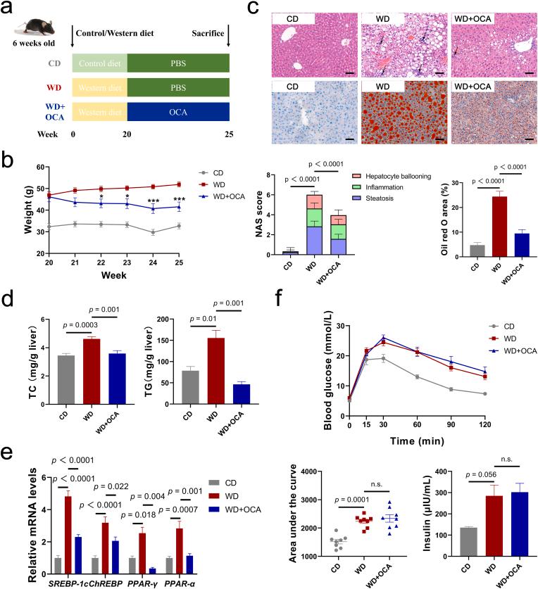 https://cdn.ncbi.nlm.nih.gov/pmc/blobs/1072/9830314/2f3d5d20316f/gr1.jpg