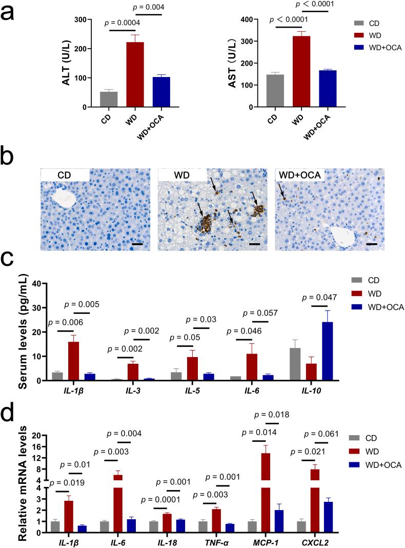 https://cdn.ncbi.nlm.nih.gov/pmc/blobs/1072/9830314/6489c28dd5f9/gr2.jpg