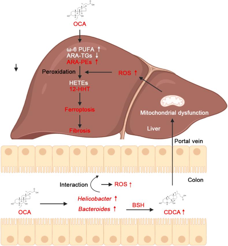 https://cdn.ncbi.nlm.nih.gov/pmc/blobs/1072/9830314/9c1426275b93/gr9.jpg