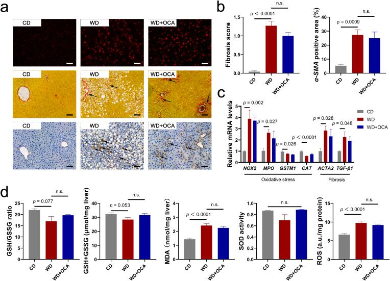 https://cdn.ncbi.nlm.nih.gov/pmc/blobs/1072/9830314/a1ff996958b8/gr3.jpg