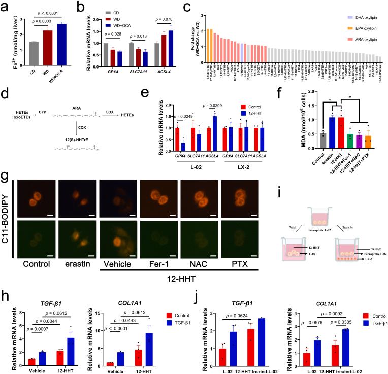 https://cdn.ncbi.nlm.nih.gov/pmc/blobs/1072/9830314/c008ebf4e4ce/gr7.jpg