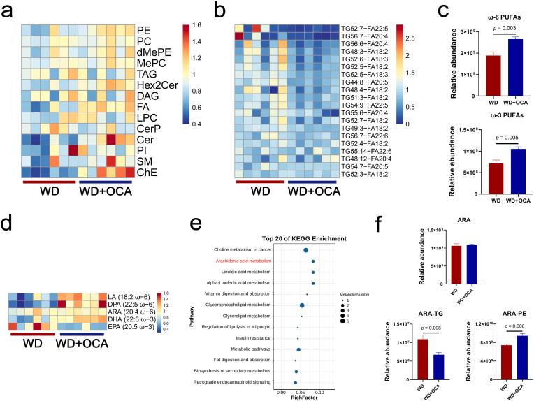 https://cdn.ncbi.nlm.nih.gov/pmc/blobs/1072/9830314/d39143186791/gr6.jpg