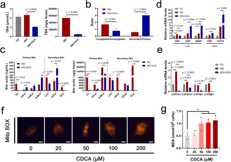 https://cdn.ncbi.nlm.nih.gov/pmc/blobs/1072/9830314/d6a1b9ce0ca1/gr4.jpg