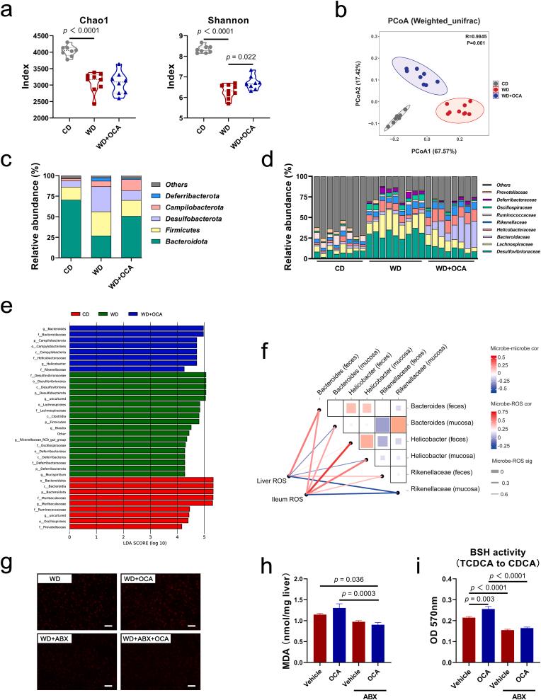 https://cdn.ncbi.nlm.nih.gov/pmc/blobs/1072/9830314/d7f8f254588c/gr5.jpg