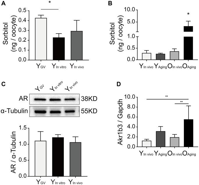 https://cdn.ncbi.nlm.nih.gov/pmc/blobs/1073/8714154/c54b1cd7c345/aging-13-203747-g001.jpg