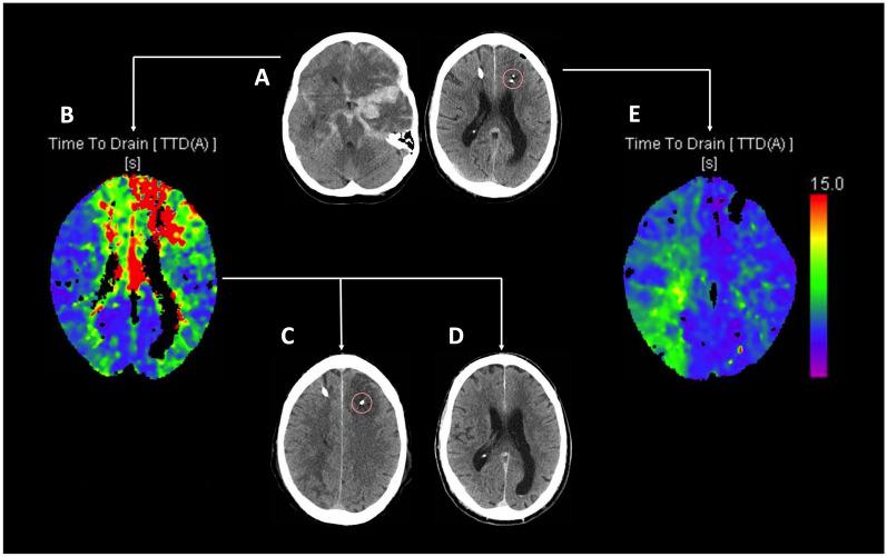 https://cdn.ncbi.nlm.nih.gov/pmc/blobs/1074/12142913/05a9c4076505/13054_2025_5460_Fig1_HTML.jpg