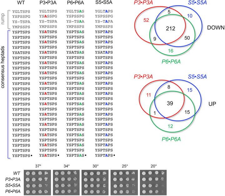 https://cdn.ncbi.nlm.nih.gov/pmc/blobs/1074/8051263/8ca49615c960/560f02.jpg