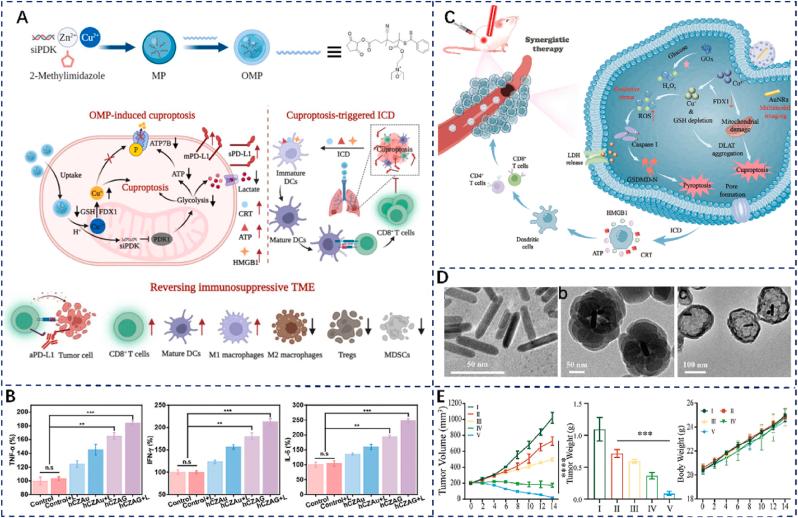 https://cdn.ncbi.nlm.nih.gov/pmc/blobs/1079/12336686/e1e8631ab323/gr2.jpg