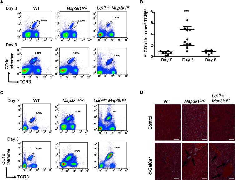 https://cdn.ncbi.nlm.nih.gov/pmc/blobs/1079/4733086/e571a4d9df3f/gr4.jpg