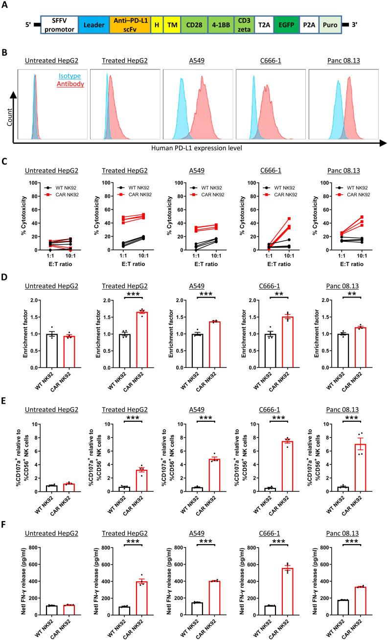 https://cdn.ncbi.nlm.nih.gov/pmc/blobs/1079/9683725/41da193d66ba/sciadv.add1187-f2.jpg