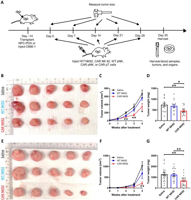 https://cdn.ncbi.nlm.nih.gov/pmc/blobs/1079/9683725/606299feebf7/sciadv.add1187-f3.jpg