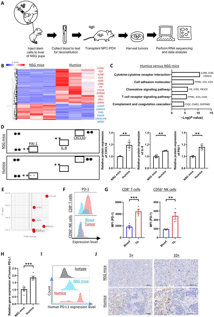 https://cdn.ncbi.nlm.nih.gov/pmc/blobs/1079/9683725/686b7ba3aa0a/sciadv.add1187-f1.jpg