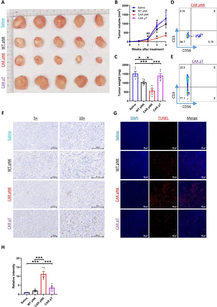 https://cdn.ncbi.nlm.nih.gov/pmc/blobs/1079/9683725/e0a701ced36b/sciadv.add1187-f5.jpg