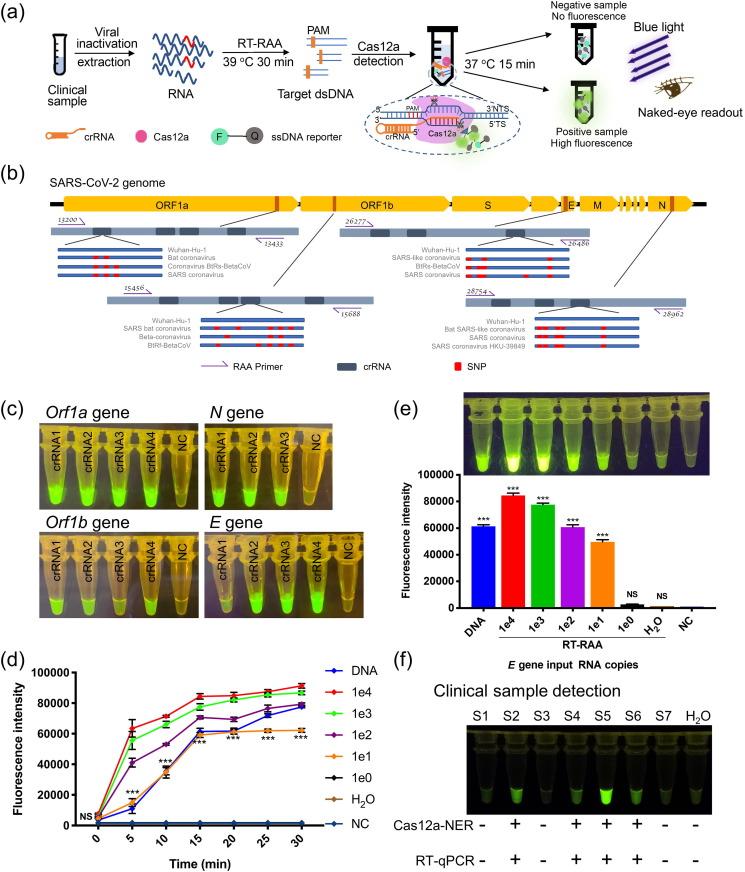 https://cdn.ncbi.nlm.nih.gov/pmc/blobs/107a/7198415/7fa858fc2726/gr1_lrg.jpg
