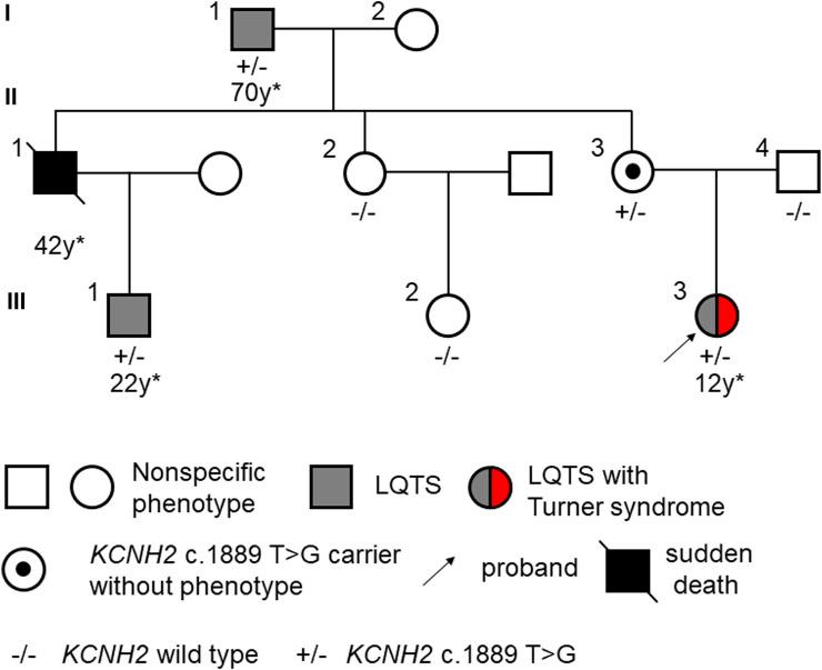 https://cdn.ncbi.nlm.nih.gov/pmc/blobs/107b/11169575/15d5d3dcbf9a/fgene-15-1409459-g001.jpg