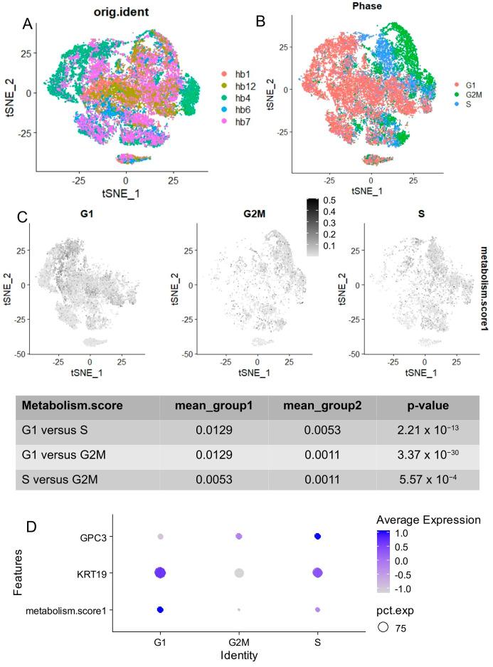 https://cdn.ncbi.nlm.nih.gov/pmc/blobs/107b/11641740/a6a9c7a11d5e/ijms-25-13044-g006.jpg
