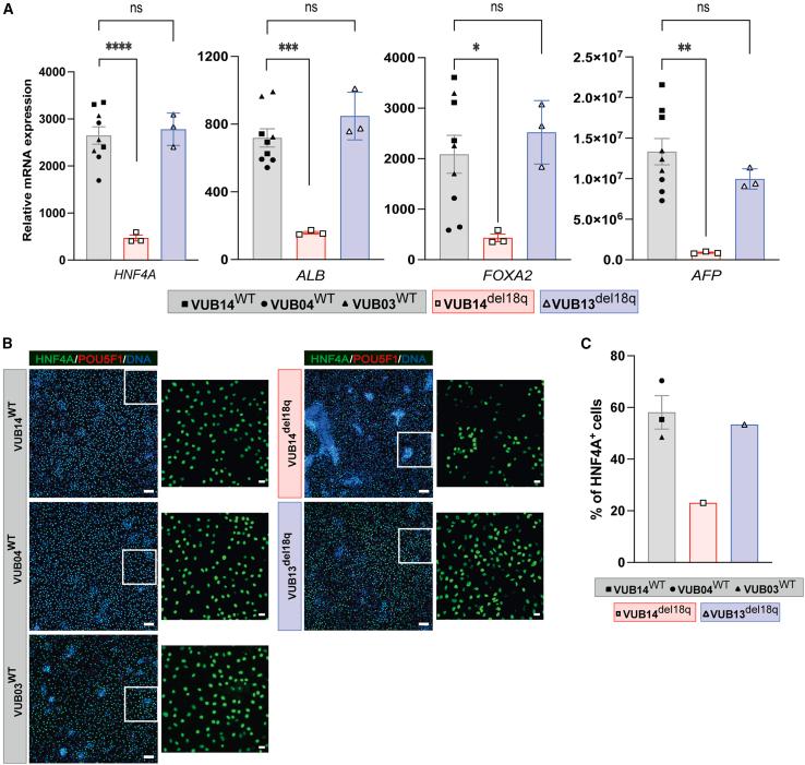 https://cdn.ncbi.nlm.nih.gov/pmc/blobs/107e/11096619/7d6093166486/gr3.jpg