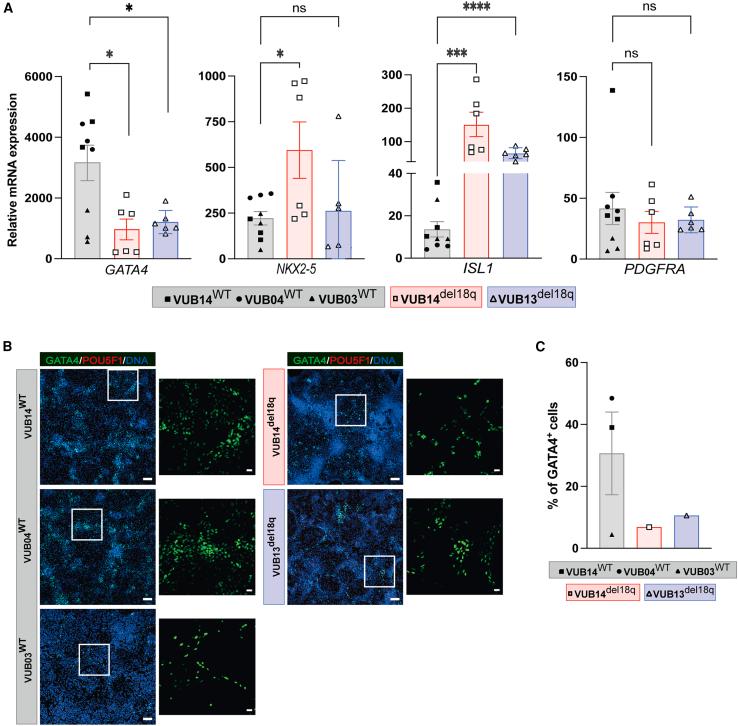 https://cdn.ncbi.nlm.nih.gov/pmc/blobs/107e/11096619/88a7eb58441a/gr2.jpg