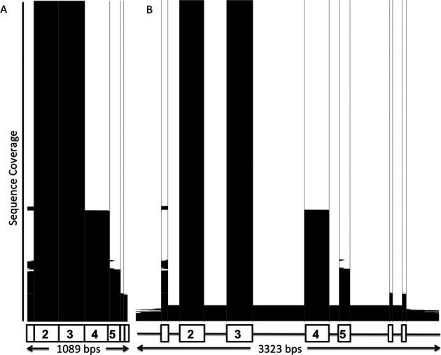 https://cdn.ncbi.nlm.nih.gov/pmc/blobs/1084/4383959/96266b3c746e/gku1161fig2.jpg