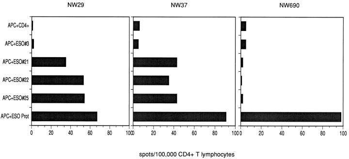 https://cdn.ncbi.nlm.nih.gov/pmc/blobs/1085/2195843/d2e71487912e/JEM990924.f1.jpg