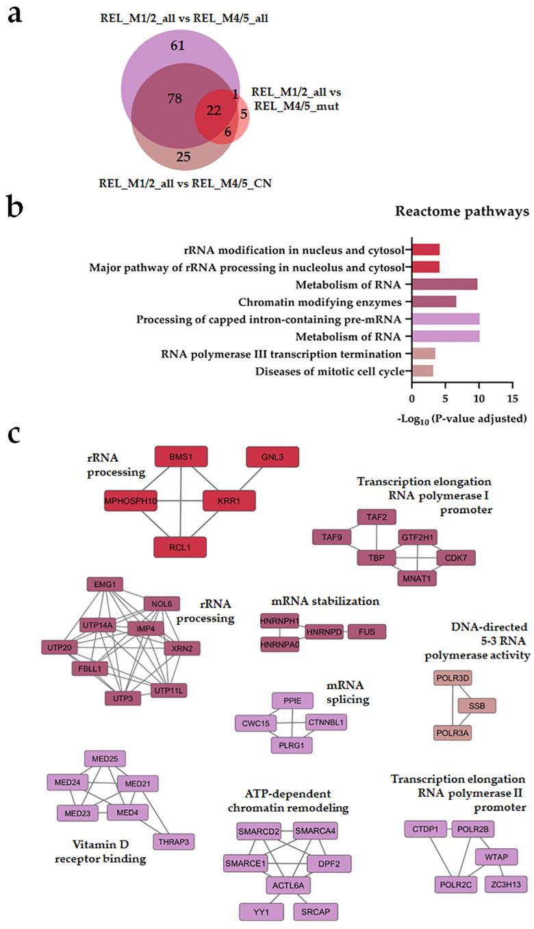 https://cdn.ncbi.nlm.nih.gov/pmc/blobs/1087/10778527/1bffb065115c/cancers-16-00008-g001.jpg