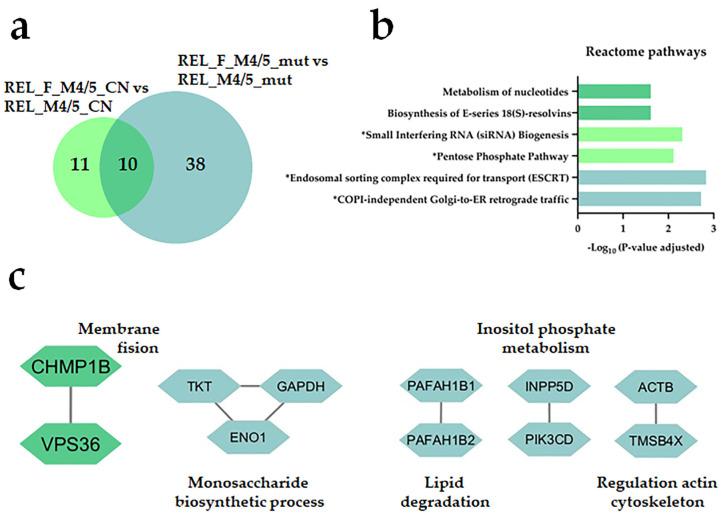 https://cdn.ncbi.nlm.nih.gov/pmc/blobs/1087/10778527/2b2aba9c7cc4/cancers-16-00008-g006.jpg