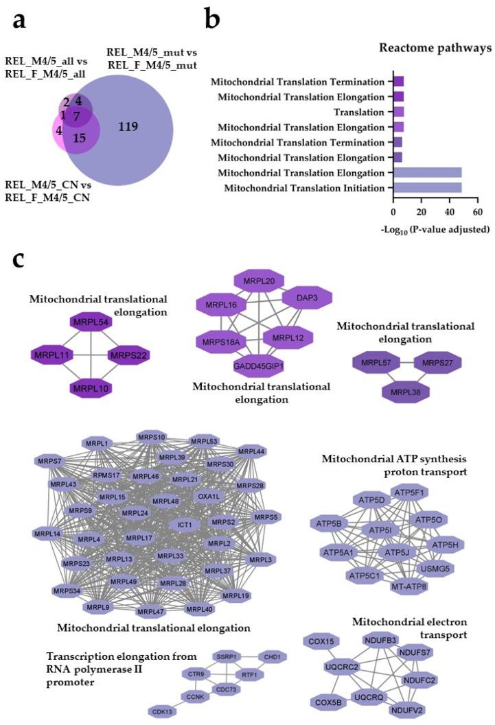 https://cdn.ncbi.nlm.nih.gov/pmc/blobs/1087/10778527/741c8bcbccd9/cancers-16-00008-g005.jpg