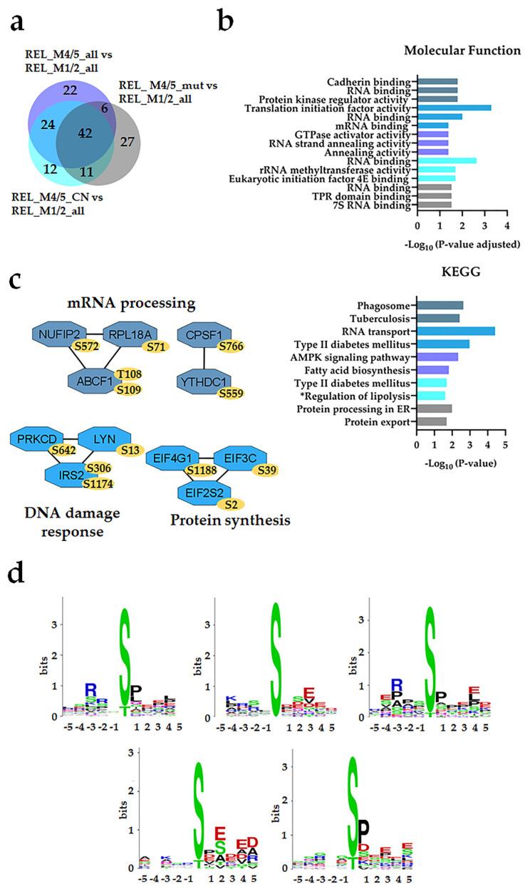 https://cdn.ncbi.nlm.nih.gov/pmc/blobs/1087/10778527/d1ce497710c1/cancers-16-00008-g004.jpg