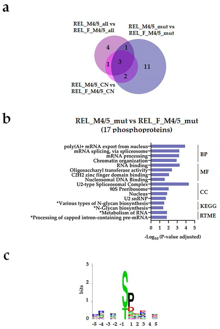 https://cdn.ncbi.nlm.nih.gov/pmc/blobs/1087/10778527/e57b7d561541/cancers-16-00008-g007.jpg