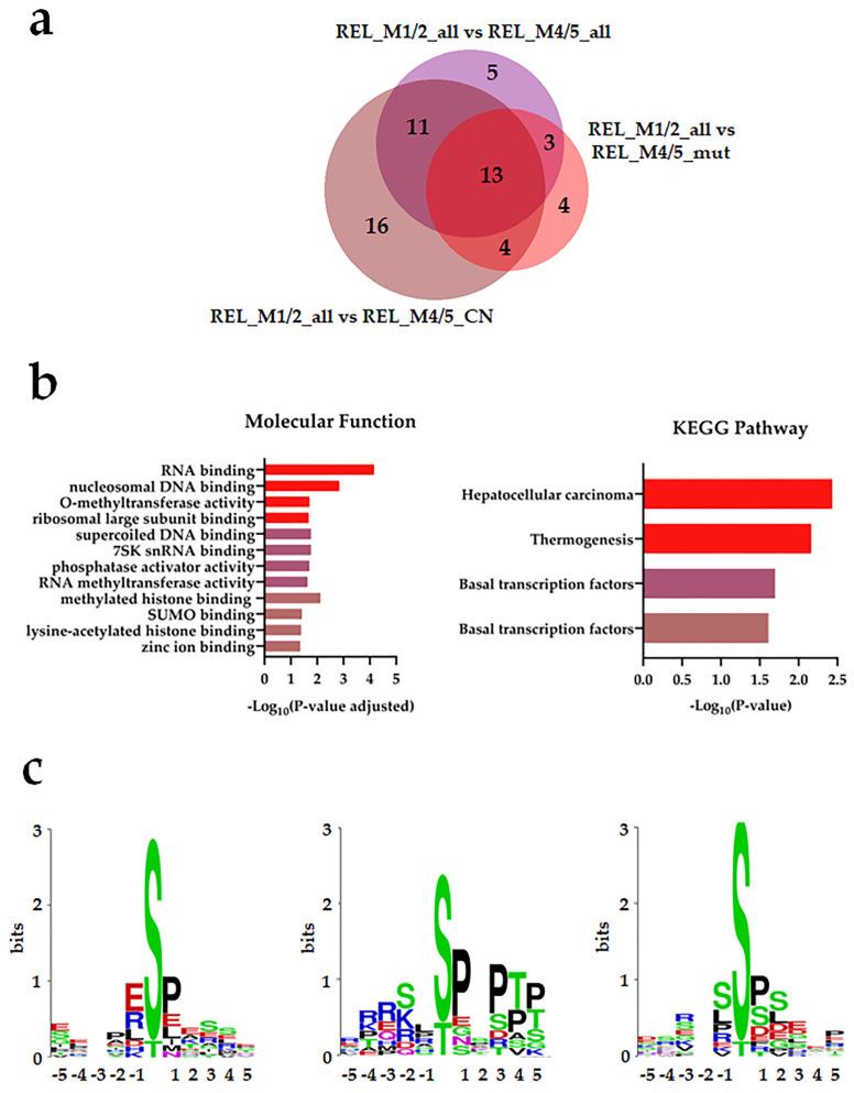 https://cdn.ncbi.nlm.nih.gov/pmc/blobs/1087/10778527/f140414bef1e/cancers-16-00008-g003.jpg