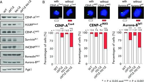 https://cdn.ncbi.nlm.nih.gov/pmc/blobs/1087/6442628/4e410d93b3f5/pnas.1821384116fig04.jpg