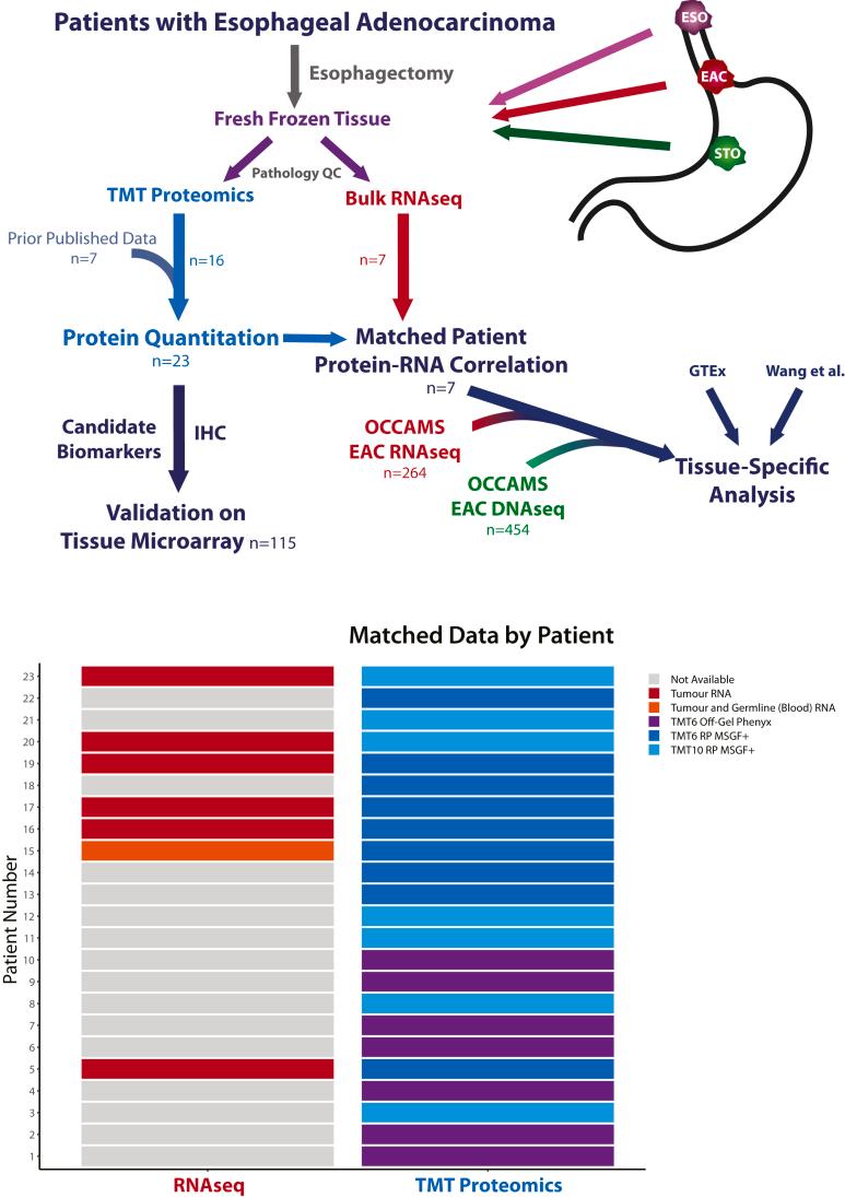 https://cdn.ncbi.nlm.nih.gov/pmc/blobs/1088/11245951/9239236f9491/gr1.jpg
