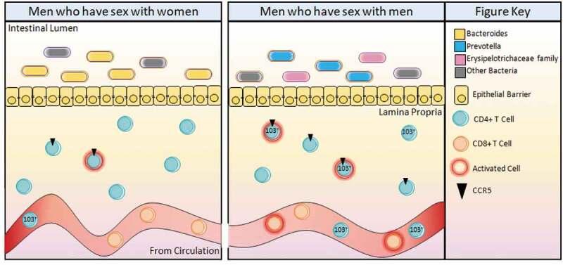 https://cdn.ncbi.nlm.nih.gov/pmc/blobs/1088/7524317/7723140327ed/KGMI_A_1700756_F0002_C.jpg