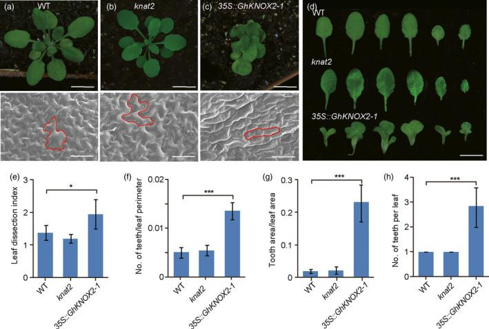 https://cdn.ncbi.nlm.nih.gov/pmc/blobs/108a/11386104/a43d404f0e02/PBI-19-548-g006.jpg
