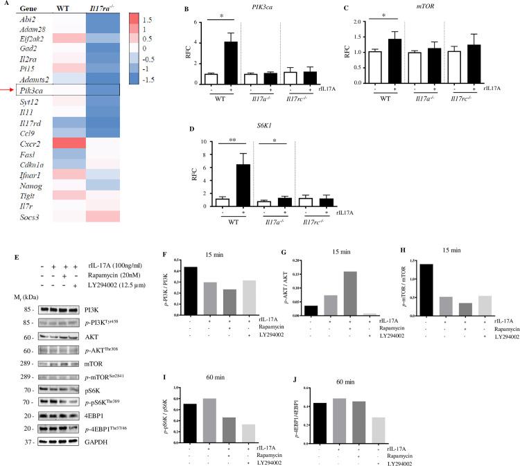 https://cdn.ncbi.nlm.nih.gov/pmc/blobs/108a/12258563/2b39cee9a31e/ppat.1013218.g006.jpg