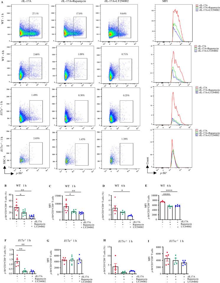 https://cdn.ncbi.nlm.nih.gov/pmc/blobs/108a/12258563/d676bba90130/ppat.1013218.g007.jpg
