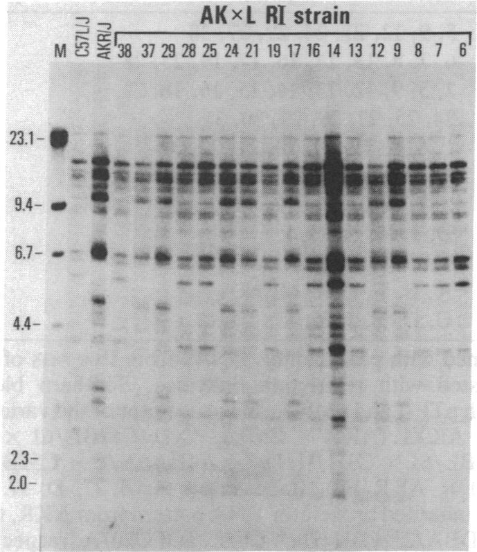 https://cdn.ncbi.nlm.nih.gov/pmc/blobs/108c/280058/1b1661f80d84/pnas00260-0256-a.jpg