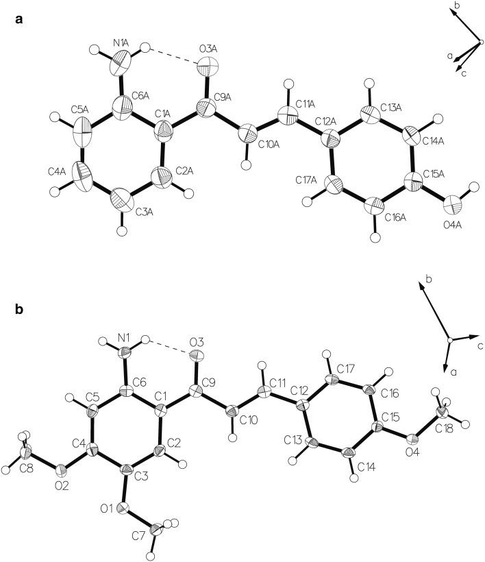 https://cdn.ncbi.nlm.nih.gov/pmc/blobs/108f/5028401/8536eb480880/706_2016_1812_Fig1_HTML.jpg
