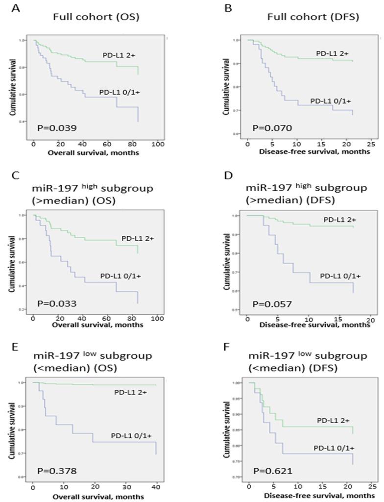 https://cdn.ncbi.nlm.nih.gov/pmc/blobs/1090/5630402/61415c3bc096/oncotarget-08-66178-g003.jpg