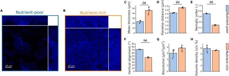 https://cdn.ncbi.nlm.nih.gov/pmc/blobs/1093/10227381/709f94d46ecf/gr1.jpg