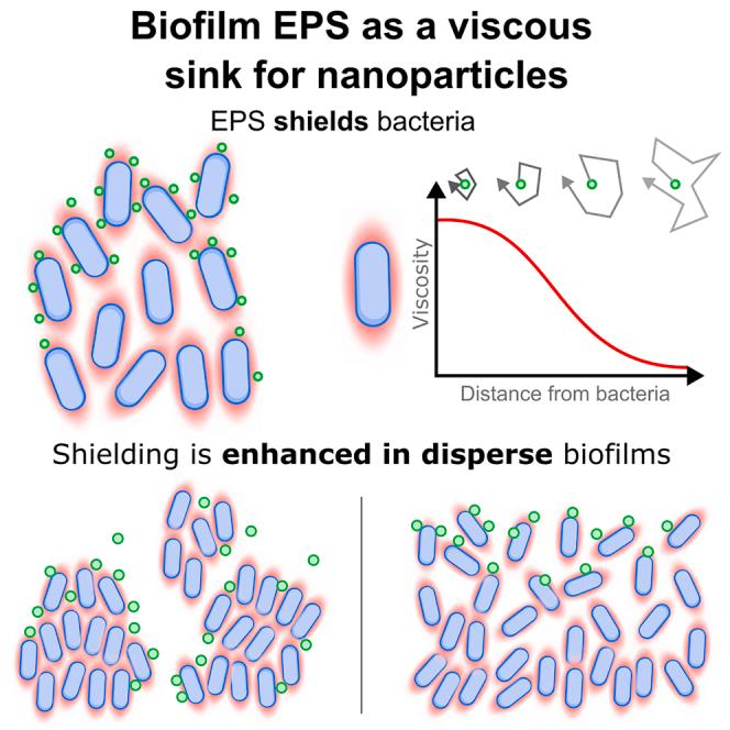 https://cdn.ncbi.nlm.nih.gov/pmc/blobs/1093/10227381/802f65f3e383/fx1.jpg
