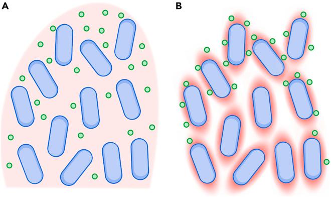 https://cdn.ncbi.nlm.nih.gov/pmc/blobs/1093/10227381/8acb76b48020/gr6.jpg