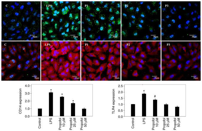 https://cdn.ncbi.nlm.nih.gov/pmc/blobs/1093/8855515/67bd6c1cd61a/etm-23-04-11174-g01.jpg