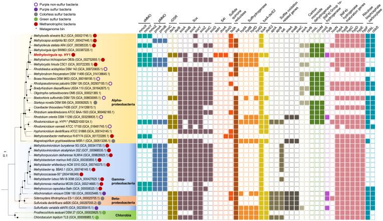 https://cdn.ncbi.nlm.nih.gov/pmc/blobs/1094/9371685/35cf0a9dab39/pnas.2114799119fig01.jpg