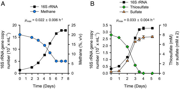 https://cdn.ncbi.nlm.nih.gov/pmc/blobs/1094/9371685/a6d42f582ddf/pnas.2114799119fig02.jpg