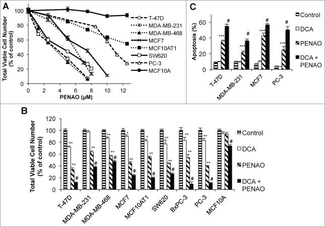 https://cdn.ncbi.nlm.nih.gov/pmc/blobs/1097/4622508/3f42866cd4a5/kcbt-15-11-955992-g001.jpg